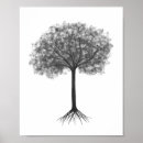 Zoek naar boom wortels posters Natuur