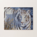 Zoek naar witte tijger puzzels Wilde katten