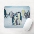 Zoek naar roofvogel muismatten Wild