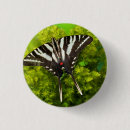 Zoek naar oranje vlinder buttons Close up