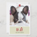 Zoek naar hipsters kaarten Grappig