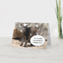 Zoek naar baby geit kaarten Grappig