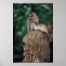 Zoek naar ubud posters Indonesië