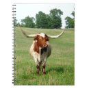 Zoek naar koeien notitieboeken Natuur