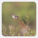 Zoek naar vliegenvanger stickers Vogel