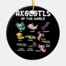 Zoek naar axolotl ornamenten Kawaii