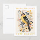 Zoek naar goudvink briefkaarten Vintage