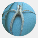 Zoek naar spinachtigen stickers Insecten