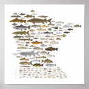 Zoek naar visserij kunst Vader