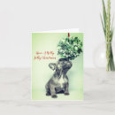 Zoek naar french bulldog kaarten Hond