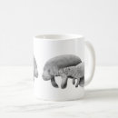 Zoek naar manatee mokken Natuur