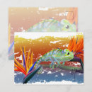 Zoek naar kameleon briefkaarten Reptiel