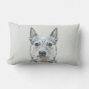 Zoek naar australisch kussens Hond