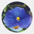 Zoek naar viooltje stickers Blauw