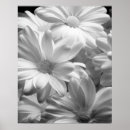 Zoek naar keukenhof tuin posters Nederland