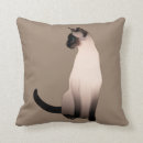 Zoek naar portret katten kussens Dieren