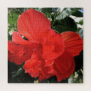 Zoek naar tuin puzzels Helder