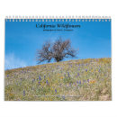 Zoek naar wildflowers kalenders Voor iedereen