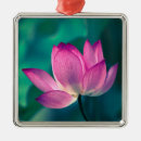 Zoek naar lily ornamenten Bloem