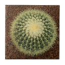 Zoek naar cactus tegels Foto