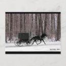 Zoek naar amish briefkaarten Paard