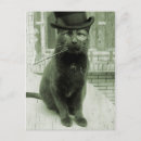 Zoek naar lol briefkaarten Katten