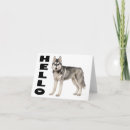 Zoek naar husky kaarten Puppy