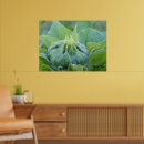 Zoek naar nat posters Foto