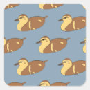 Zoek naar wilde eend stickers Vogels