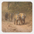 Zoek naar tijger strepen stickers Wild