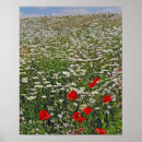 Zoek naar monden posters Natuur