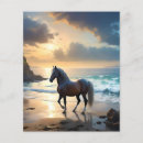 Zoek naar paarden flyers Dier