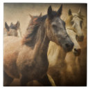 Zoek naar paarden tegels Voor iedereen