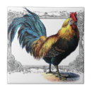 Zoek naar boerderij dieren tegels Rooster