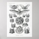 Zoek naar botanische druk posters Elk persoon