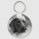 Zoek naar weimaraner sleutelhangers Weimarant