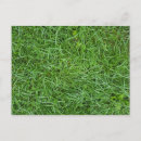 Zoek naar gras briefkaarten Tuin