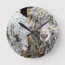 Zoek naar boerderijdier klokken Geit