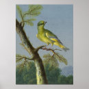 Zoek naar dove kunst Vogel