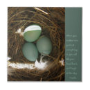 Zoek naar buddha tegels Zen