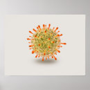 Zoek naar microscopisch posters Rood