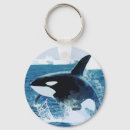 Zoek naar orca sleutelhangers Illustratie