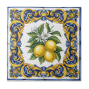Zoek naar traditioneel tegels Majolica