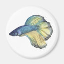 Zoek naar aquarium magneten Waterverf