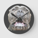 Zoek naar cane corso kunst Mastiff