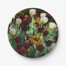 Zoek naar rode tulpen borden Lente