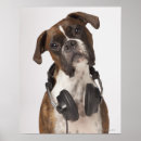 Zoek naar verwarring posters Humor