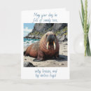 Zoek naar walrus kaarten Oceaan