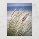 Zoek naar luie dagen briefkaarten Voor iedereen