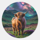 Zoek naar hoogland koeien stickers Luchtvaartkunst